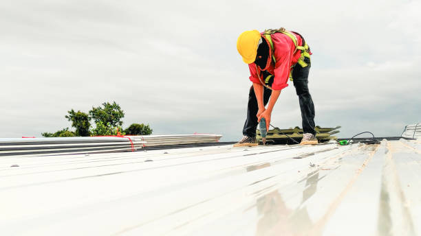 Best Sheet Metal Roofing  in Hiawatha, KS